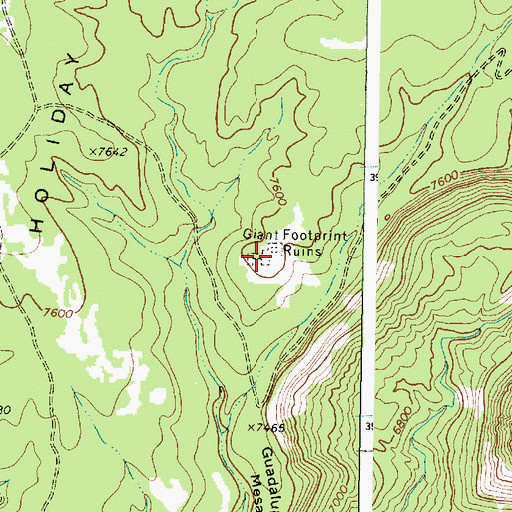 Topographic Map of Giant Footprint Ruins, NM
