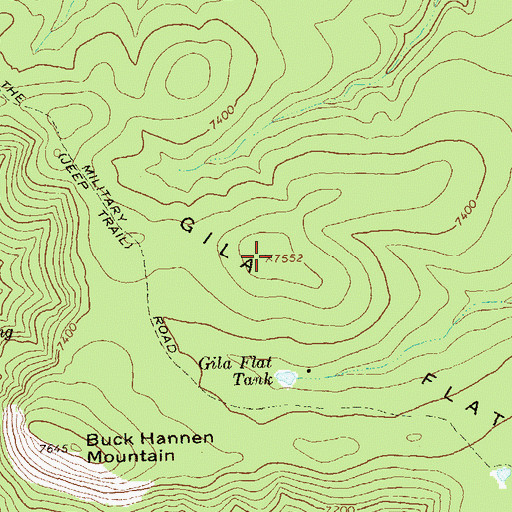 Topographic Map of Gila Flat, NM