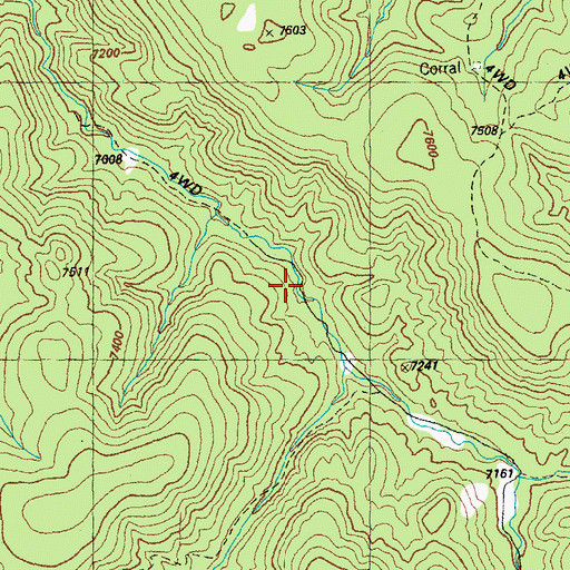 Topographic Map of Gila Scout Camp, NM