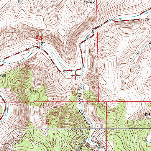 Topographic Map of Gilson Canyon, NM