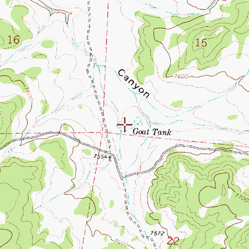Topographic Map of Goat Tank, NM