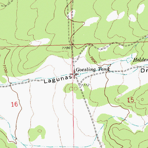 Topographic Map of Goesling Tank, NM