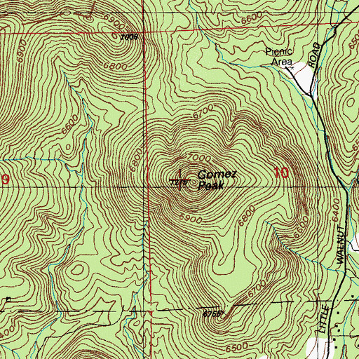 Topographic Map of Gomez Peak, NM