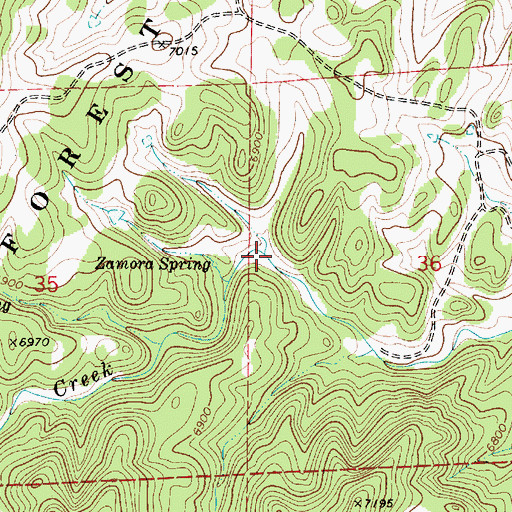 Topographic Map of Gonzales Canyon, NM