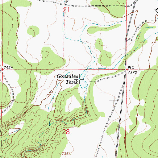 Topographic Map of Gonzales Tank, NM