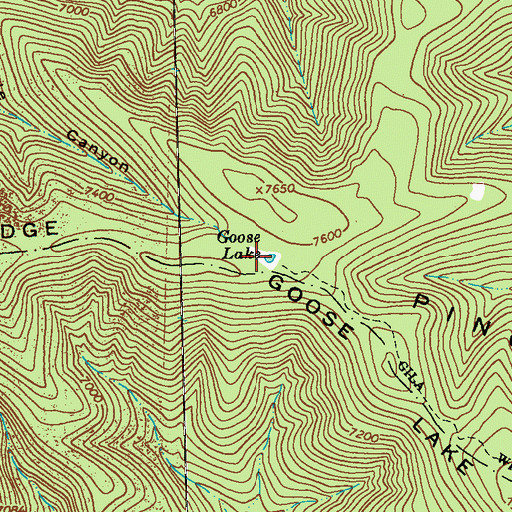 Topographic Map of Goose Lake, NM