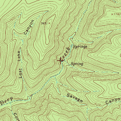 Topographic Map of Gooseberry Canyon, NM