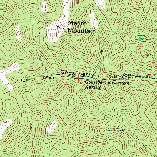 Topographic Map of Gooseberry Canyon Spring, NM