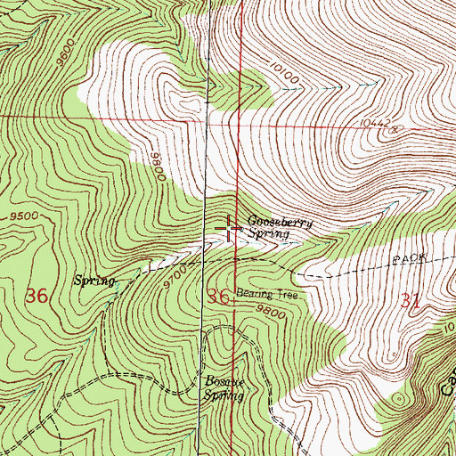 Topographic Map of Gooseberry Spring, NM