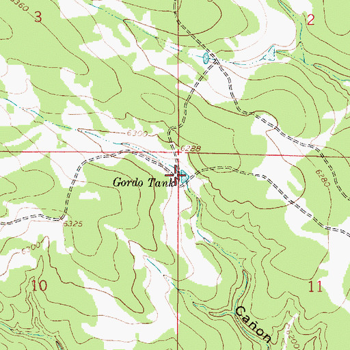 Topographic Map of Gordo Tank, NM