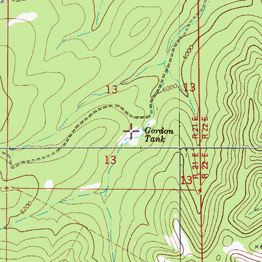 Topographic Map of Gordon Tank, NM