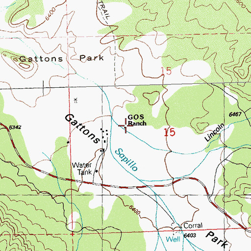 Topographic Map of G O S Ranch, NM