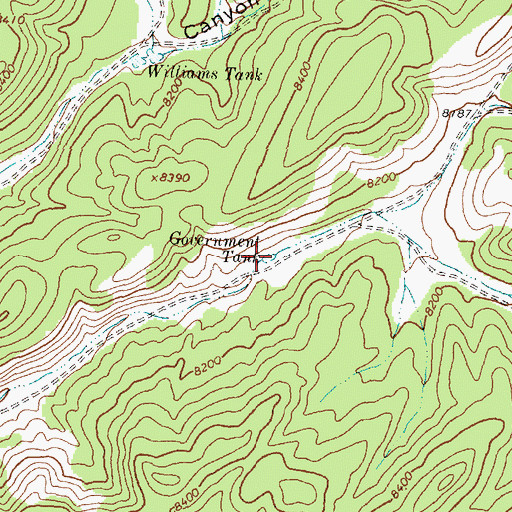 Topographic Map of Government Tank, NM