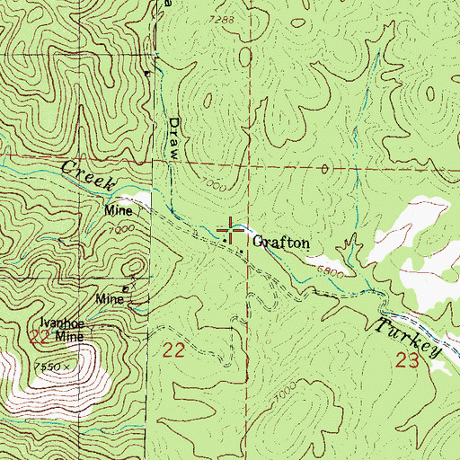 Topographic Map of Grafton, NM