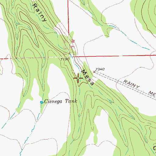 Topographic Map of Granny Canyon, NM