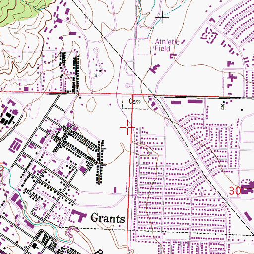 Topographic Map of Grants Canyon, NM