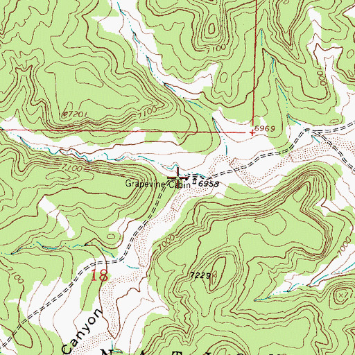 Topographic Map of Grapevine Cabin, NM