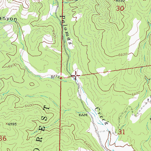 Topographic Map of Grapevine Canyon, NM