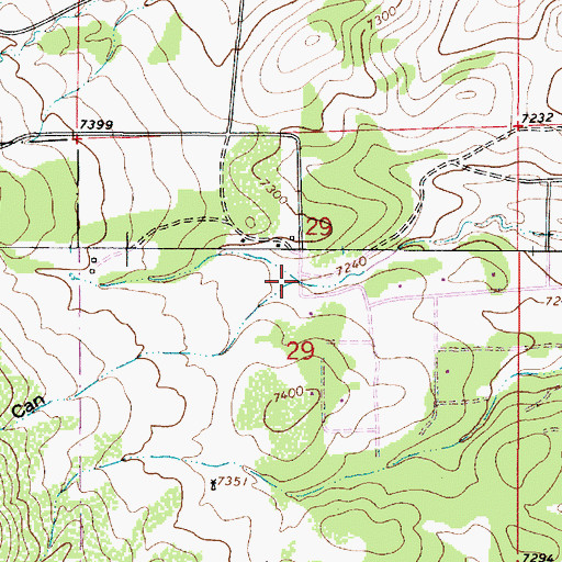 Topographic Map of Grapevine Canyon, NM