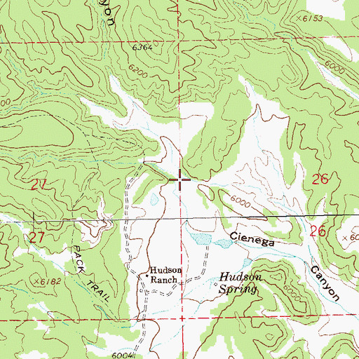 Topographic Map of Grapevine Canyon, NM