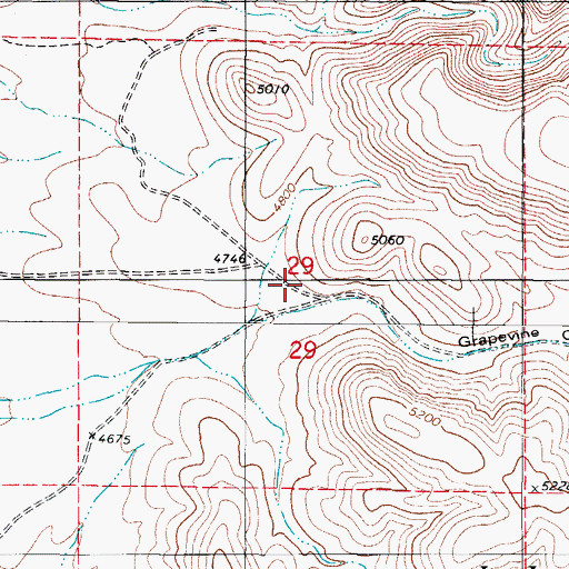 Topographic Map of Grapevine Canyon, NM