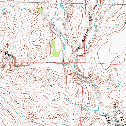 Topographic Map of Grapevine Canyon, NM