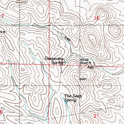 Topographic Map of Grapevine Spring, NM
