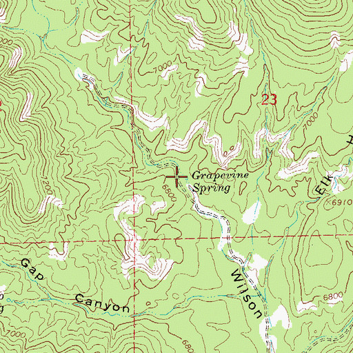 Topographic Map of Grapevine Spring, NM