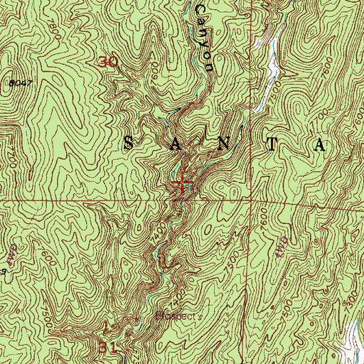 Topographic Map of Grasshopper Canyon, NM
