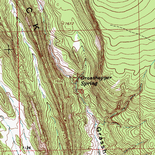 Topographic Map of Grasshopper Spring, NM