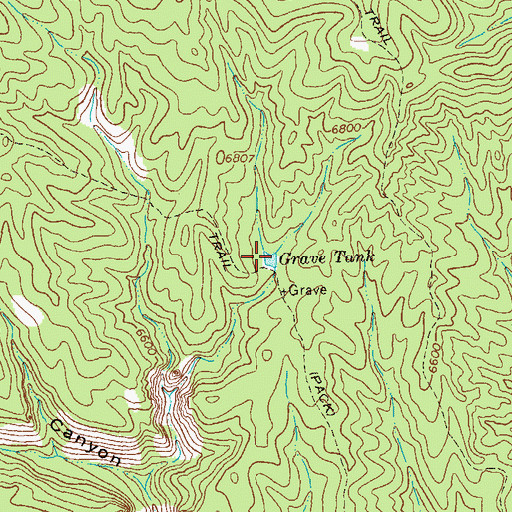Topographic Map of Grave Tank, NM