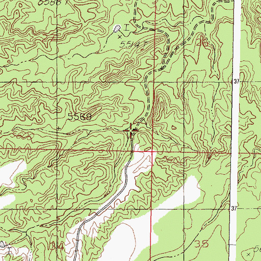 Topographic Map of Gray and Ligon Ranch, NM