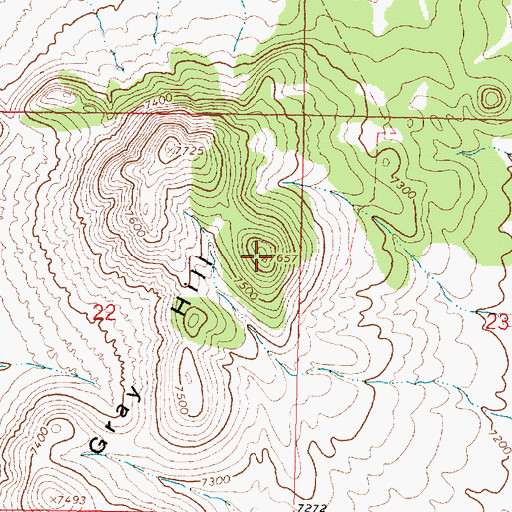 Topographic Map of Gray Hill, NM