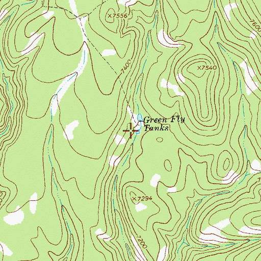 Topographic Map of Green Fly Tanks, NM