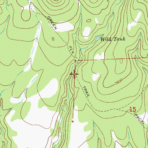 Topographic Map of Green Fly Trail, NM