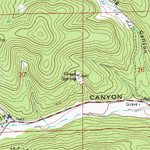 Topographic Map of Green Spring, NM