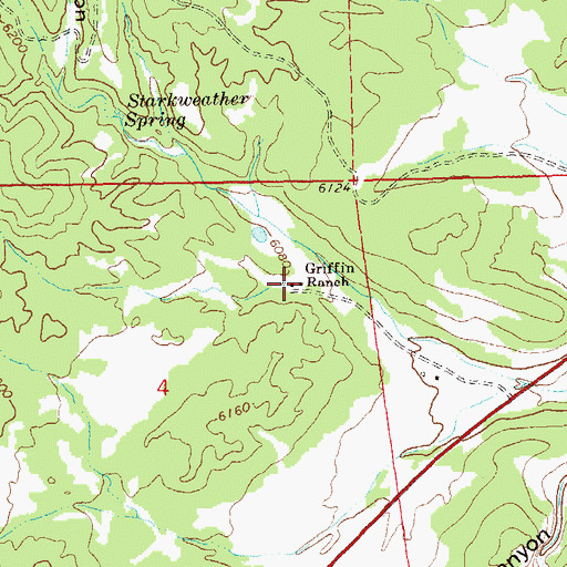 Topographic Map of Griffin Ranch, NM