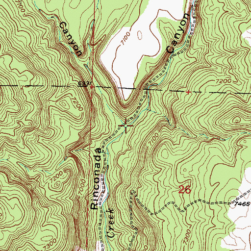 Topographic Map of Guadalupe Canyon, NM