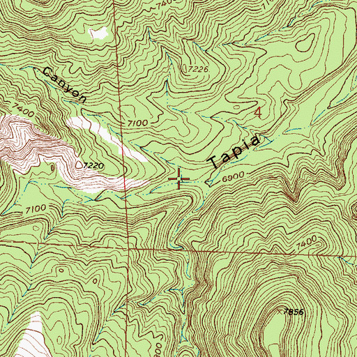 Topographic Map of Guadalupe Canyon, NM