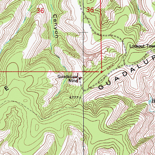 Topographic Map of Guadalupe Mine, NM