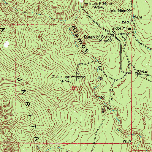 Topographic Map of Guadalupe Mine, NM