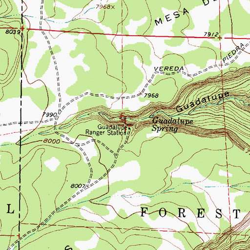 Topographic Map of Guadalupe Ranger Station, NM