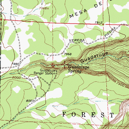 Topographic Map of Guadalupe Spring, NM