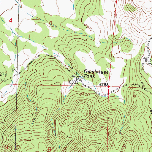 Topographic Map of Guadalupe Tank, NM