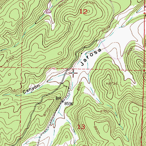 Topographic Map of Guardia Canyon, NM