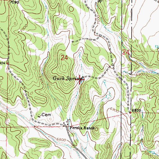 Topographic Map of Guck Spring, NM