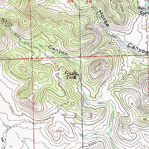 Topographic Map of Gunn Tank, NM