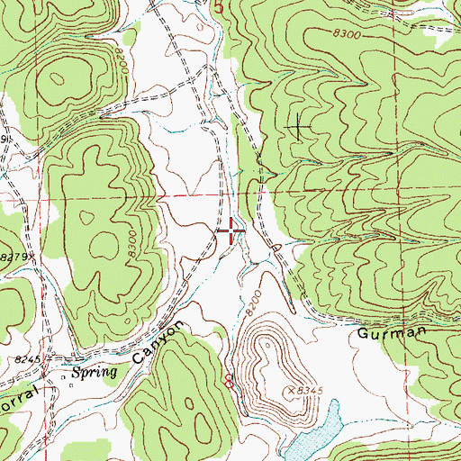 Topographic Map of Gurman Canyon, NM