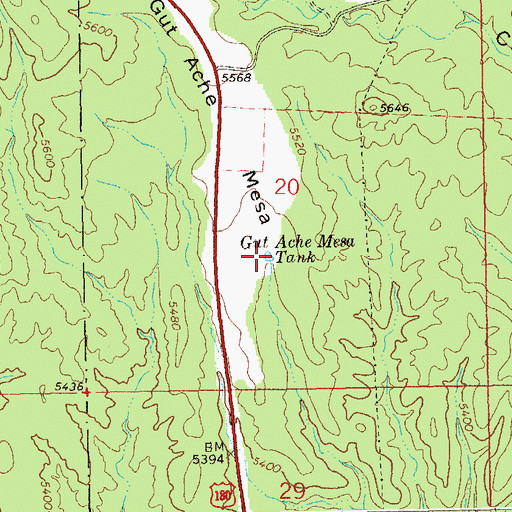 Topographic Map of Lower Gut Ache Tank, NM
