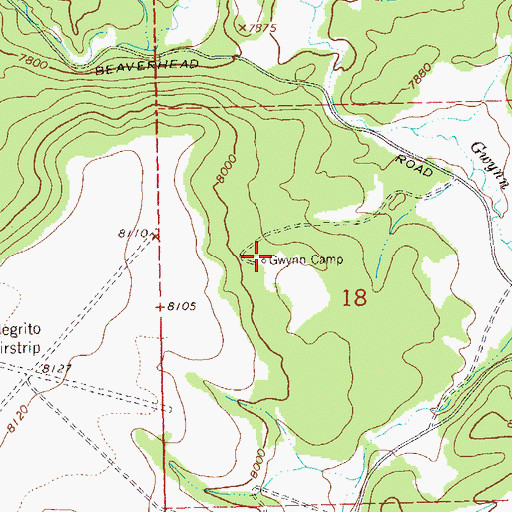 Topographic Map of Gwynn Camp, NM